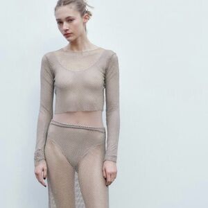 Zara Shimmer Mesh Long Sleeve Crop Top